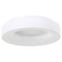 LED-Deckenleuchte Surgy I Acrylglas Eisen 3