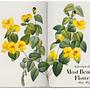 Redouté. The Book of Flowers. 45th Ed. 5