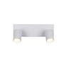 2-Light Soka Ceiling Light Rectangular Iron White 3
