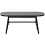 Elegance Couchtisch Mangoholz Metall Schwarz 3