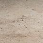 Filinta Beistelltisch Holz Travertine 8