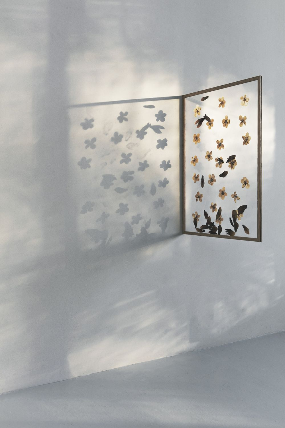 Frame A2 Schwarz 1