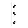 Swan Ceiling Light 3-Light Black 1