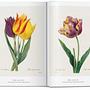 Redouté. The Book of Flowers. 45th Ed. 6