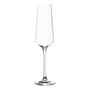 6x Puccini Sektglas Transparent 280 ml 0