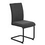 2x Ceelias Freischwinger Anthrazit 2