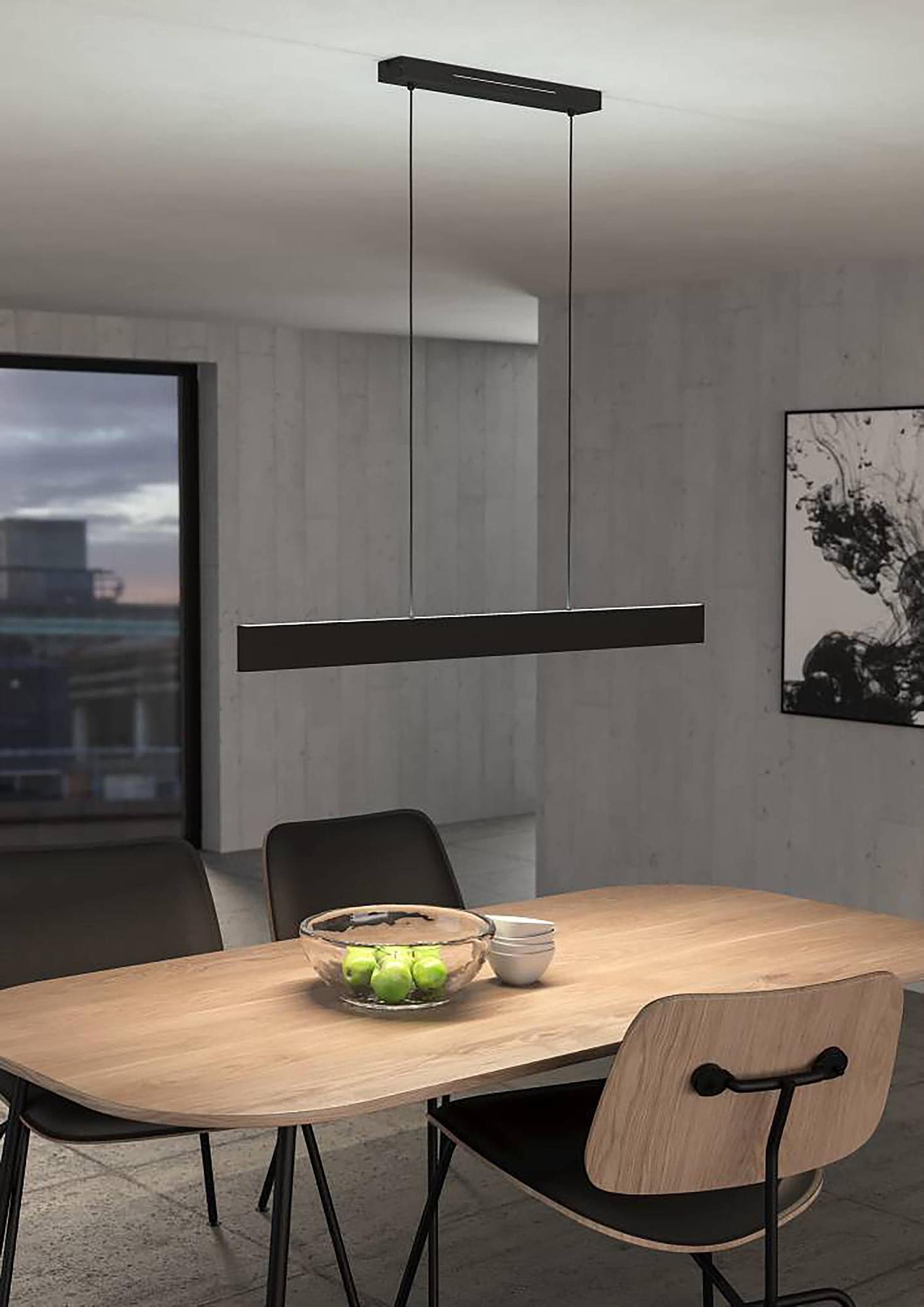 LED-Pendelleuchte Andreas-Z Polycarbonat Stahl Schwarz 3