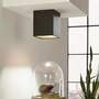 LED Deckenleuchte Polasso Schwarz Gold 2