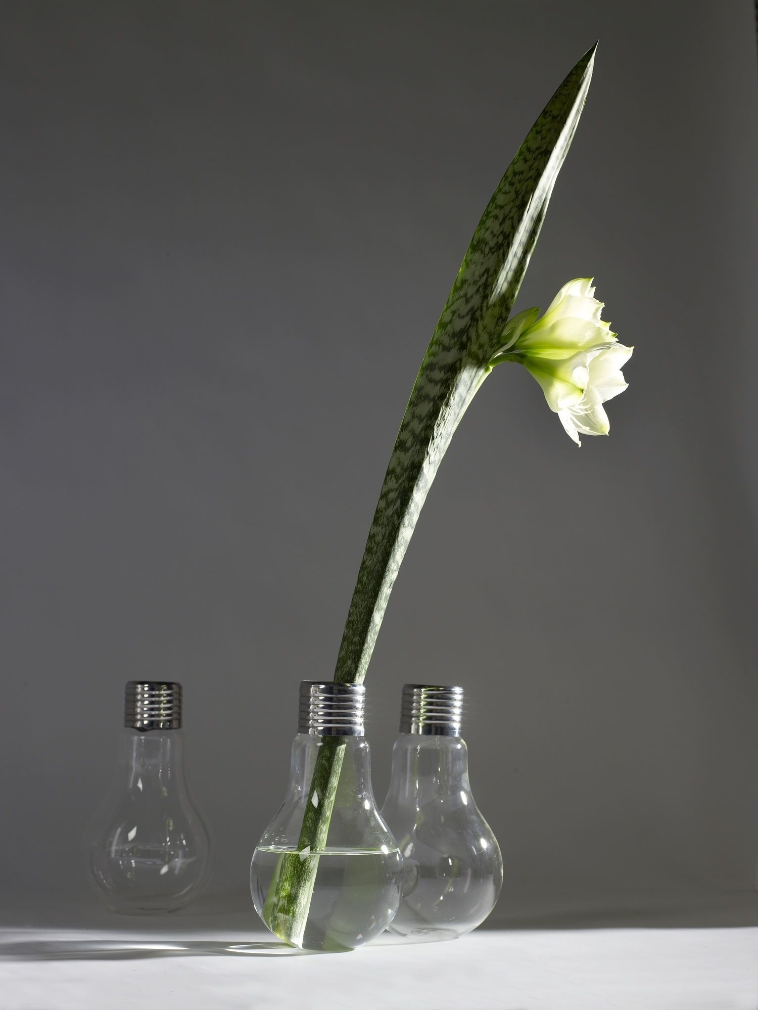 Lightbulb Vase Transparent 3