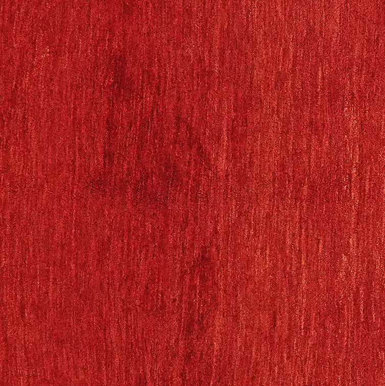 Rizbaf Gabbeh Tappeto Lana Rosso 2