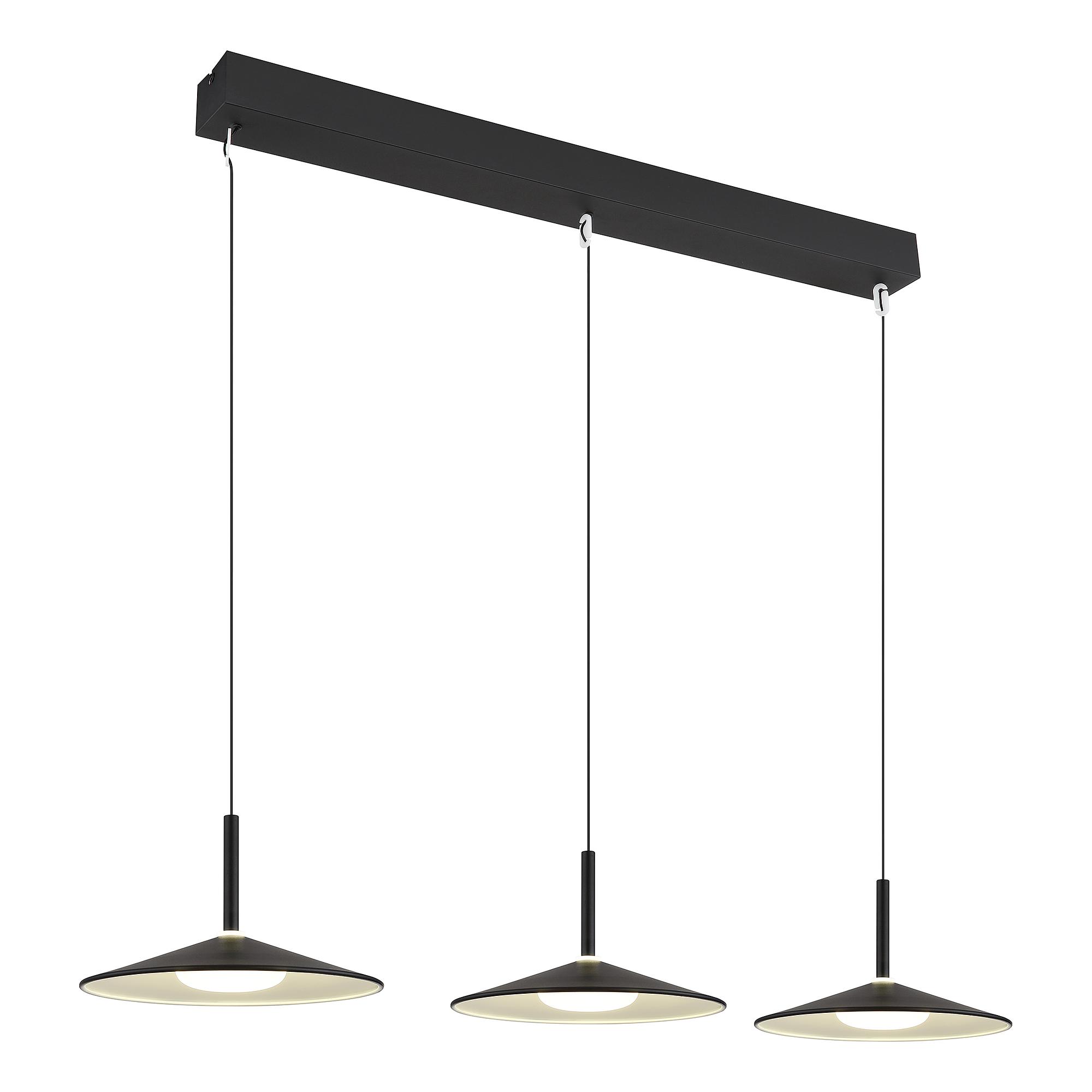 Lampone Type C LED Pendant Light Iron Black 3