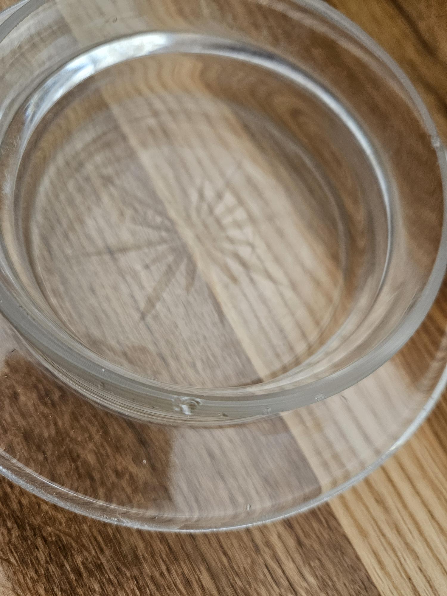 Engraved Crystal Cheese Dome 9