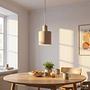Pendant light Jurea Downlight 1-Light Iron 2