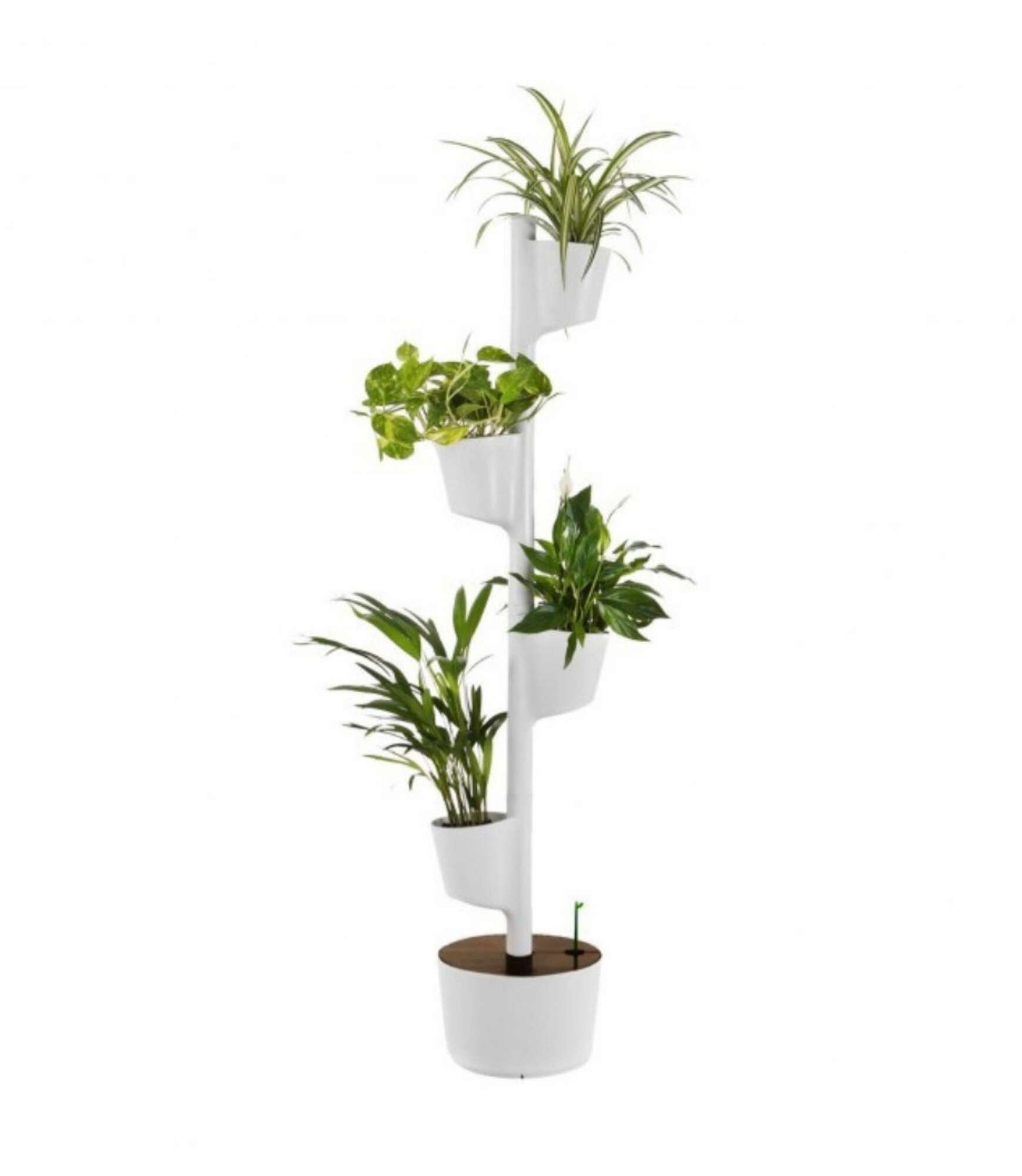 Design Award: Pine wood planting system Smart Irrigation 4