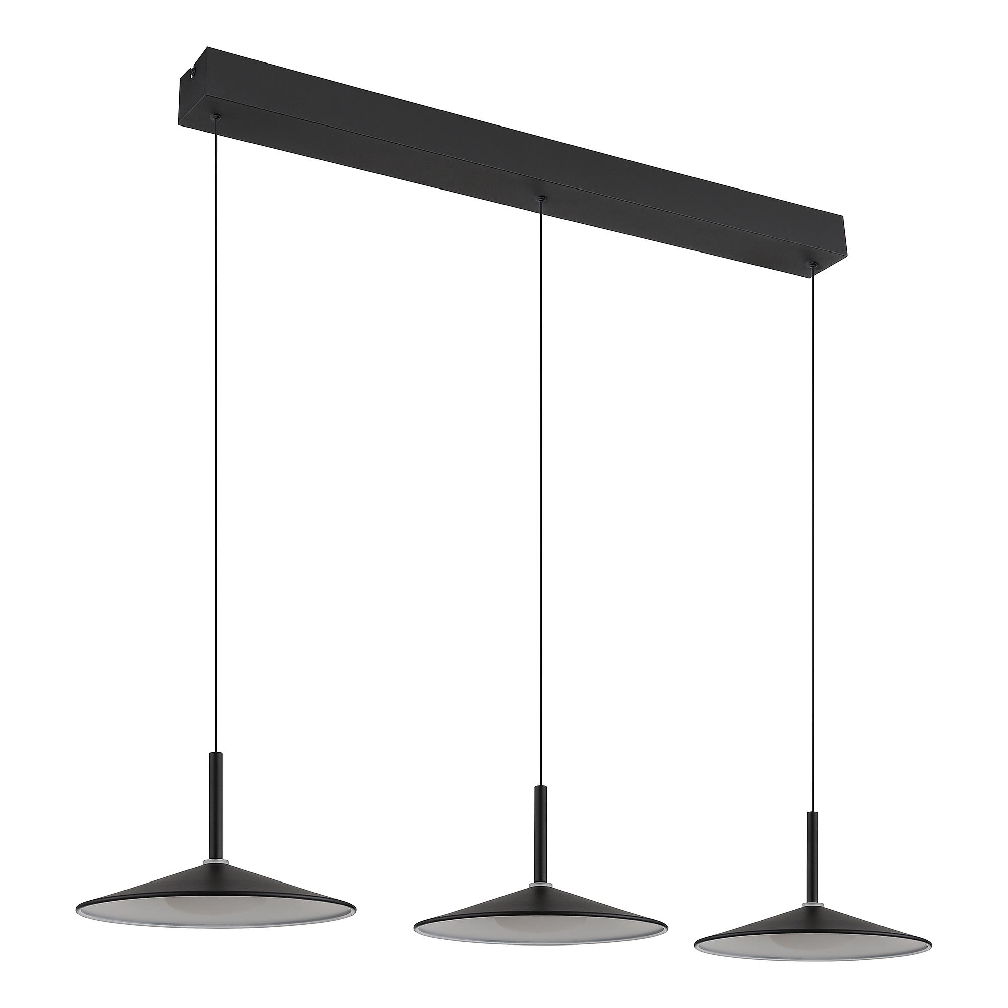 Lampone Type C LED Pendant Light Iron Black 4
