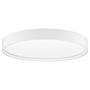 Olaf Ceiling Light Aluminum White 1-light 0