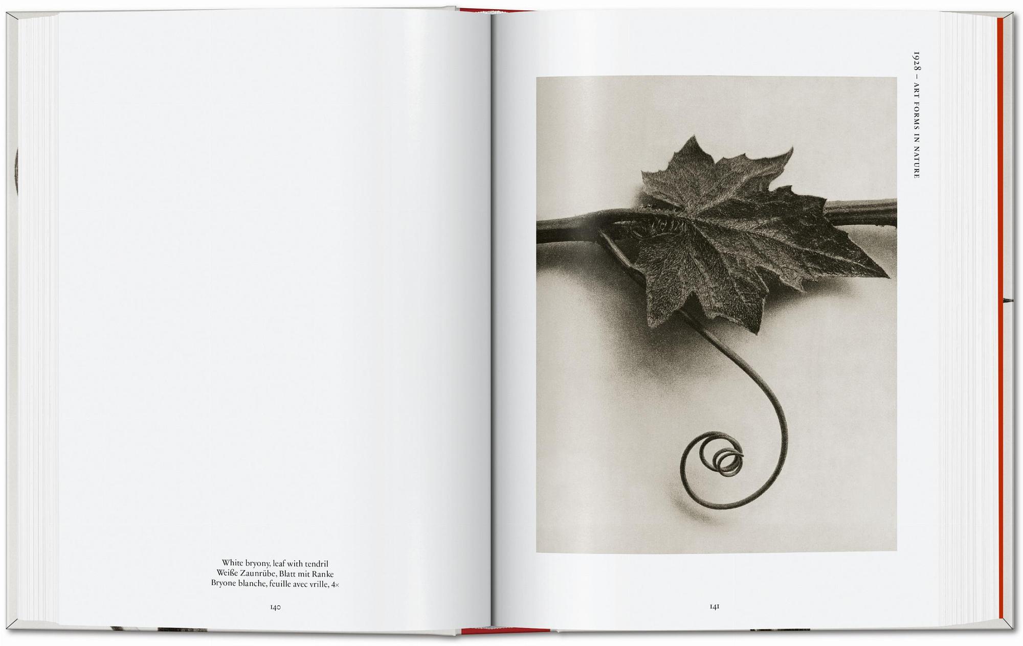 Karl Blossfeldt. The Complete Published Work. 45th Ed. 5
