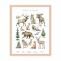 Forest Animals Kunstdruck mit Rahmen Mehrfarbig 0