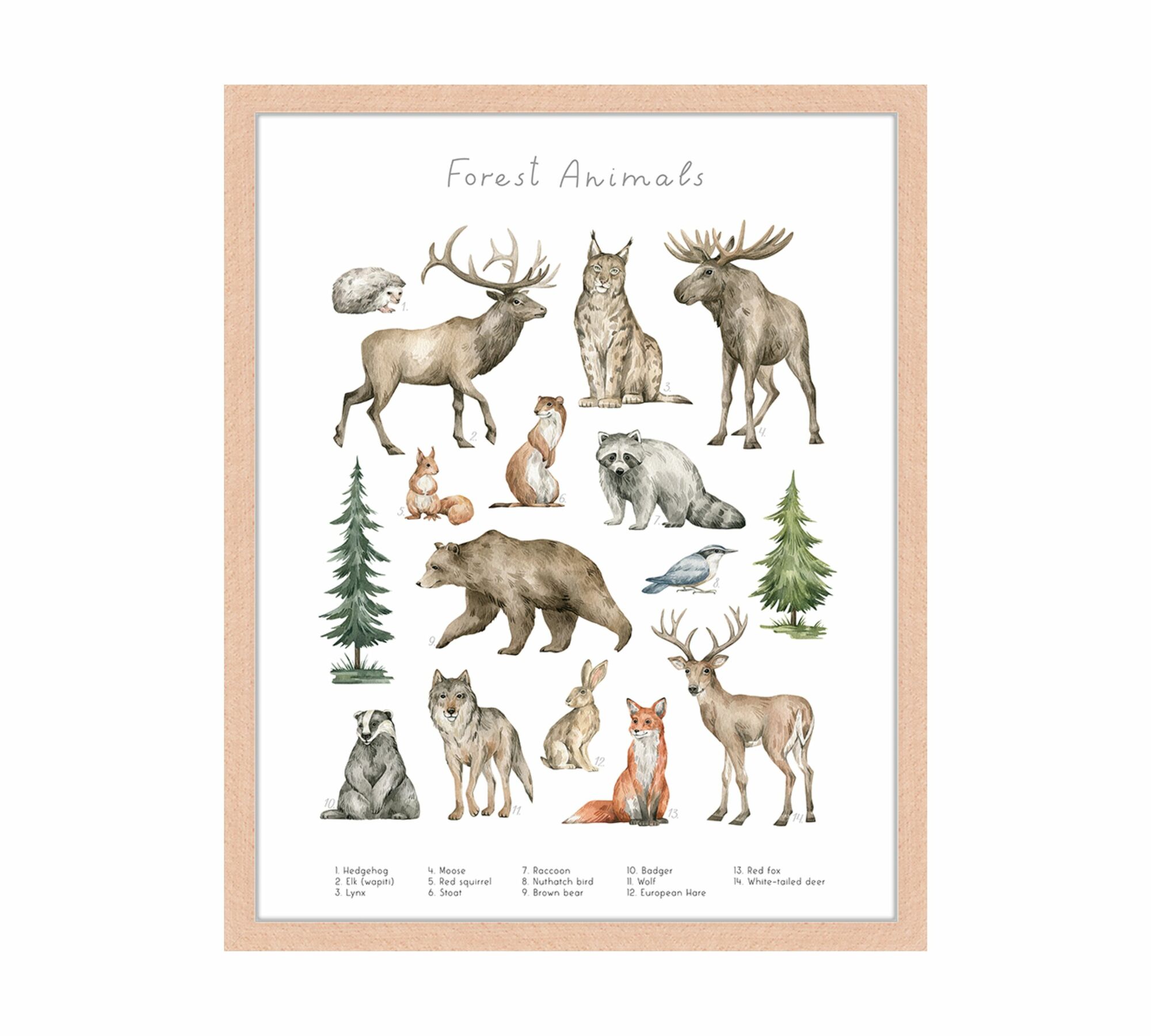 Forest Animals Art Print with Frame Multicolor 0