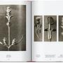 Karl Blossfeldt. The Complete Published Work. 45th Ed. 6