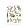 Forest Animals Art Print with Frame Multicolor 1