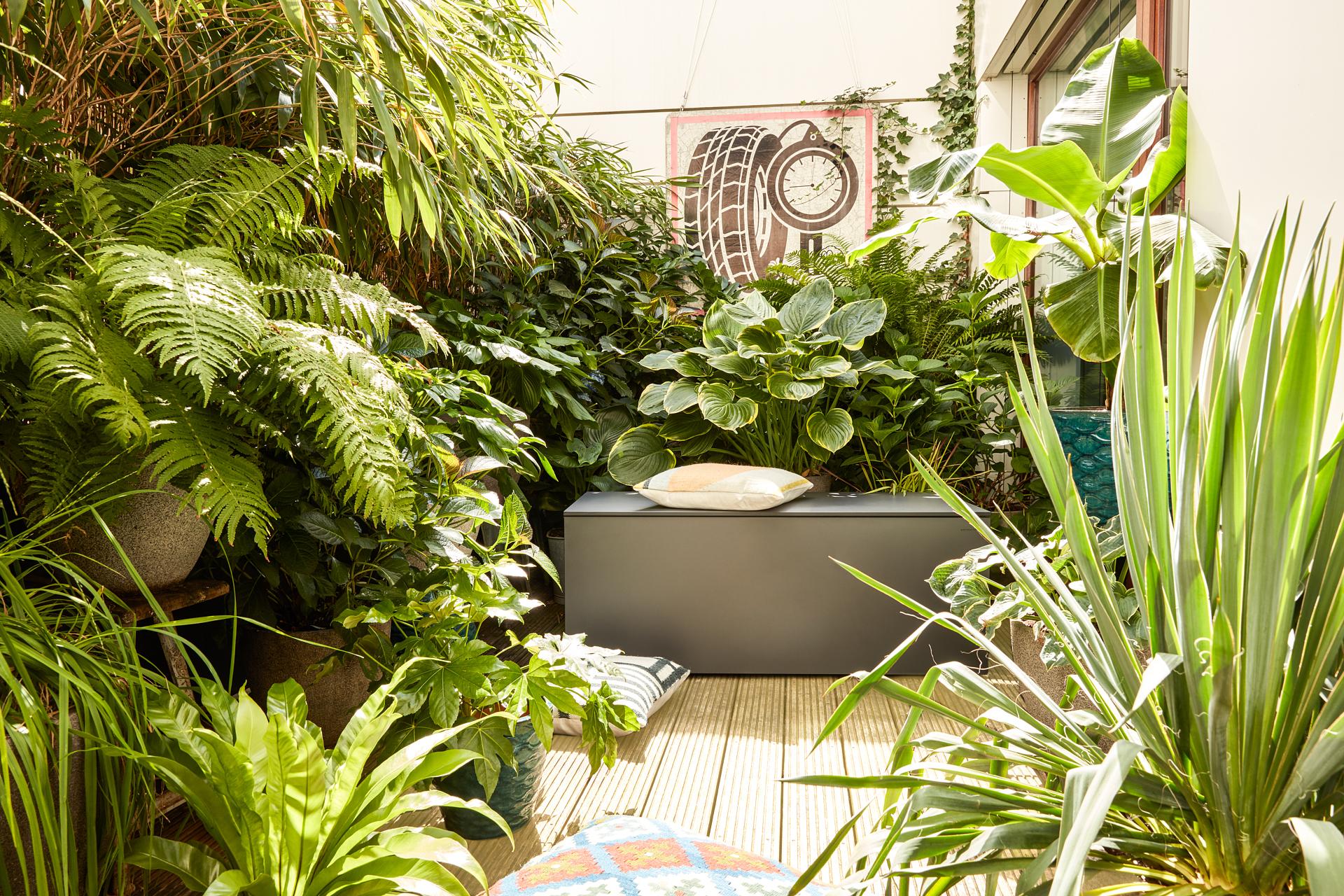 El Pecho Kissentruhe Anthrazit  2