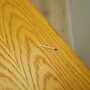 Vintage table ash wood brown 1960s 7