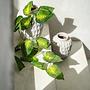 Trendy Vase Grau 3