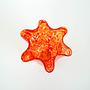 Glass vase 1970s Orange 5