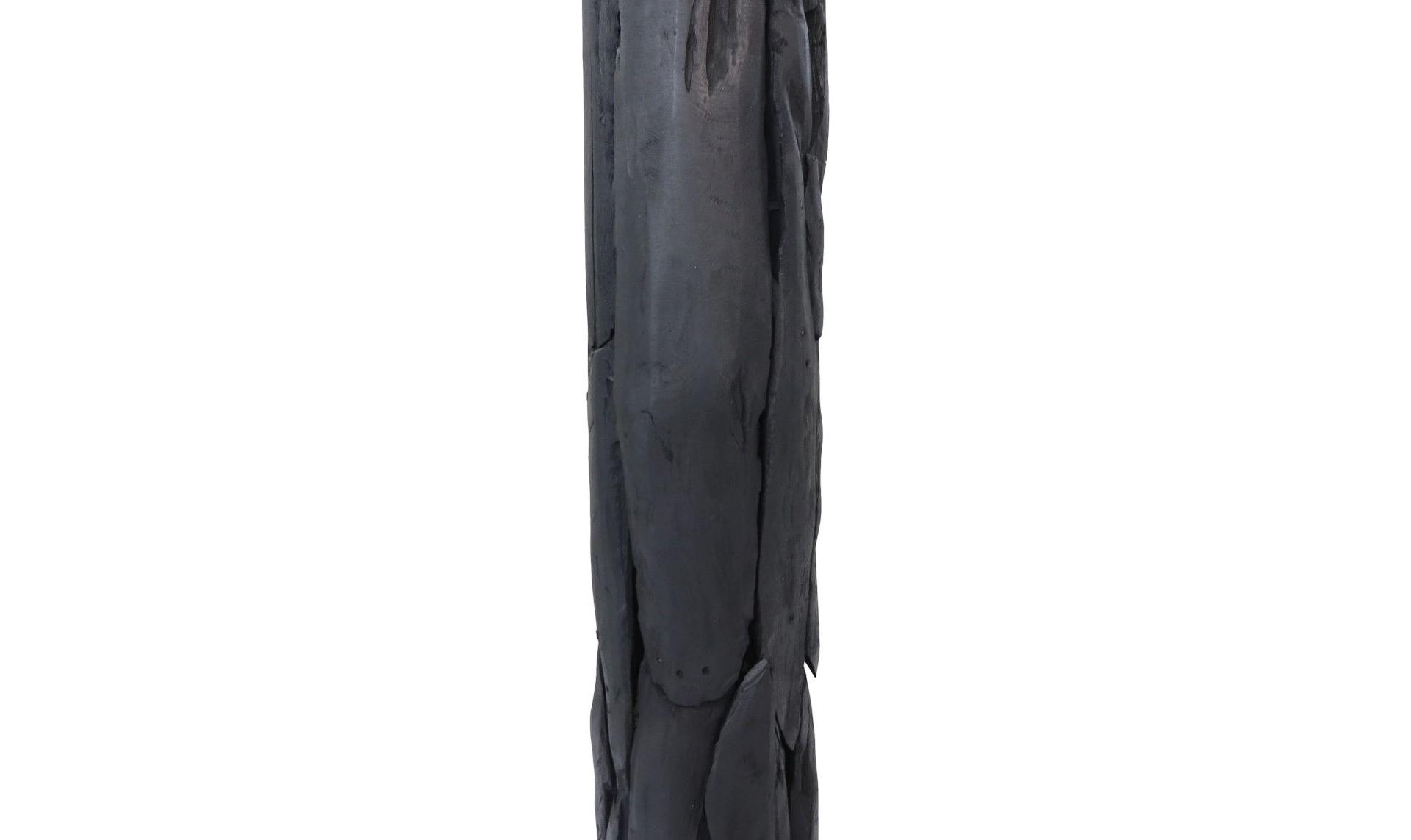 Stehlampe Teakholz Schwarz 3