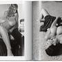 The Big Book of Breasts 4