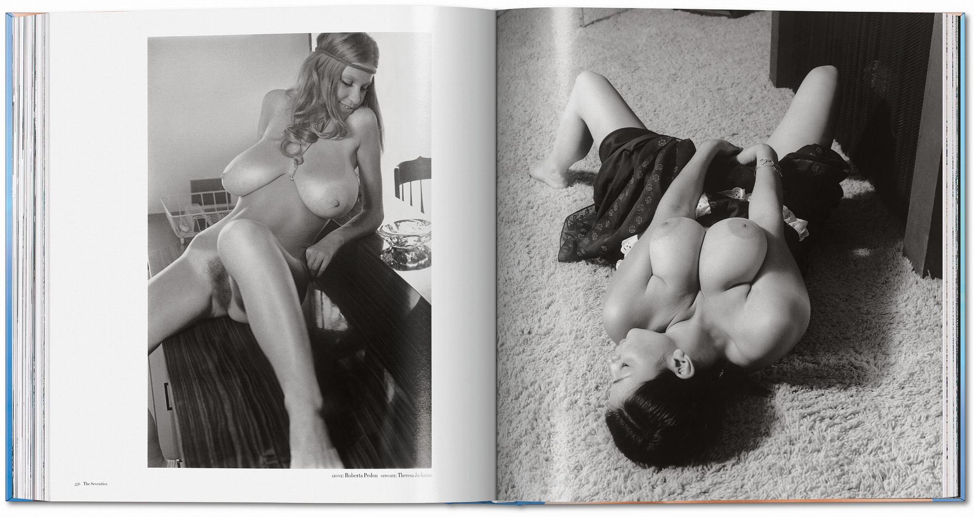 The Big Book of Breasts 4
