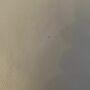 Aura Sofa Leder Beige 5