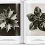 Karl Blossfeldt. The Complete Published Work. 45th Ed. 8