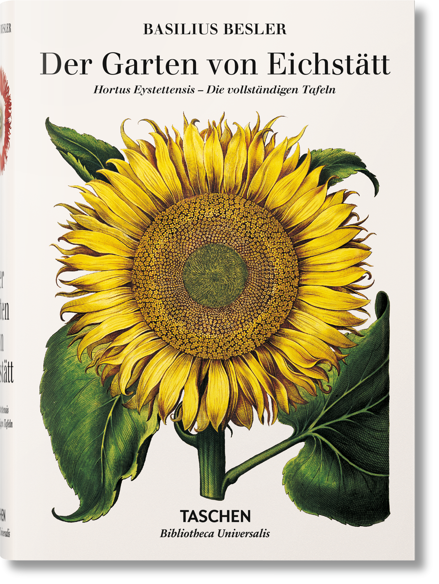 Basilius Besler Der Garten von Eichstätt Hortus Eystettensis 0