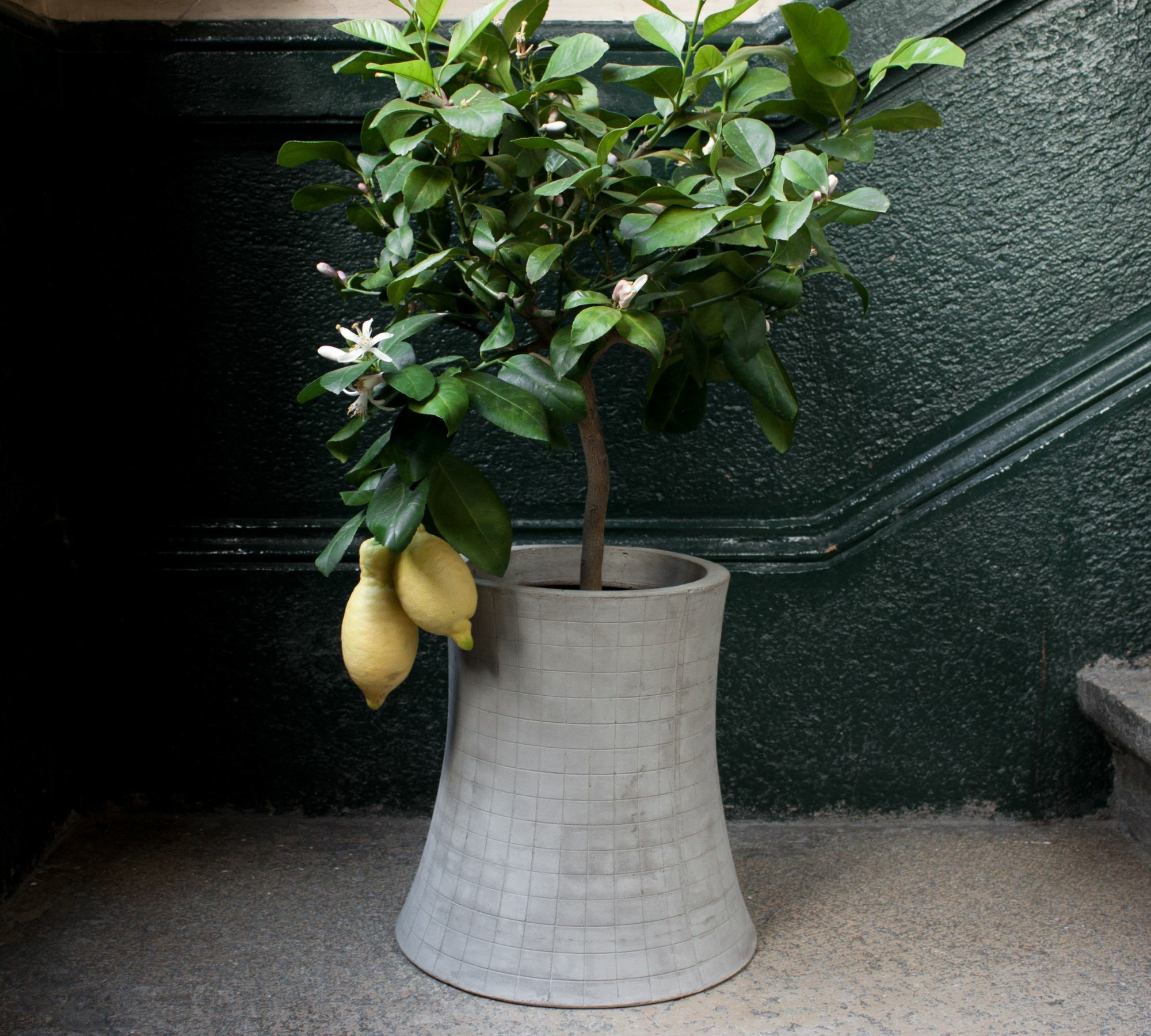 Nuclear Plant 460 Pflanztopf Faserbeton 46 cm 3