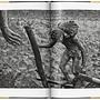 Sebastião Salgado. Gold 6