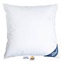 Pillow Feathers Down Cotton White 0