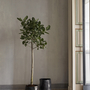 Esca Blumentopf Porzellan Schwarz 1