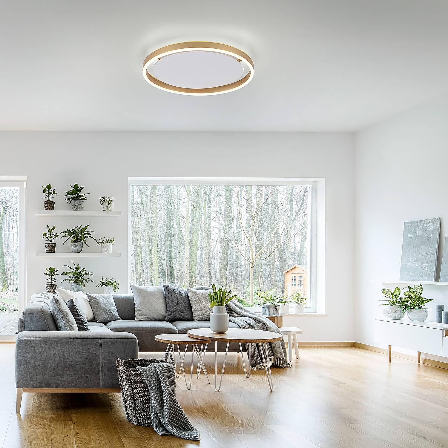 Ritus Typ A LED-Deckenleuchte Kunststoff Aluminium 2