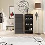 Shoe Cabinet Caruso Metal Black 115 cm 3