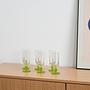 6er-Set Gläser Transparent Grün 1970er Jahre 1
