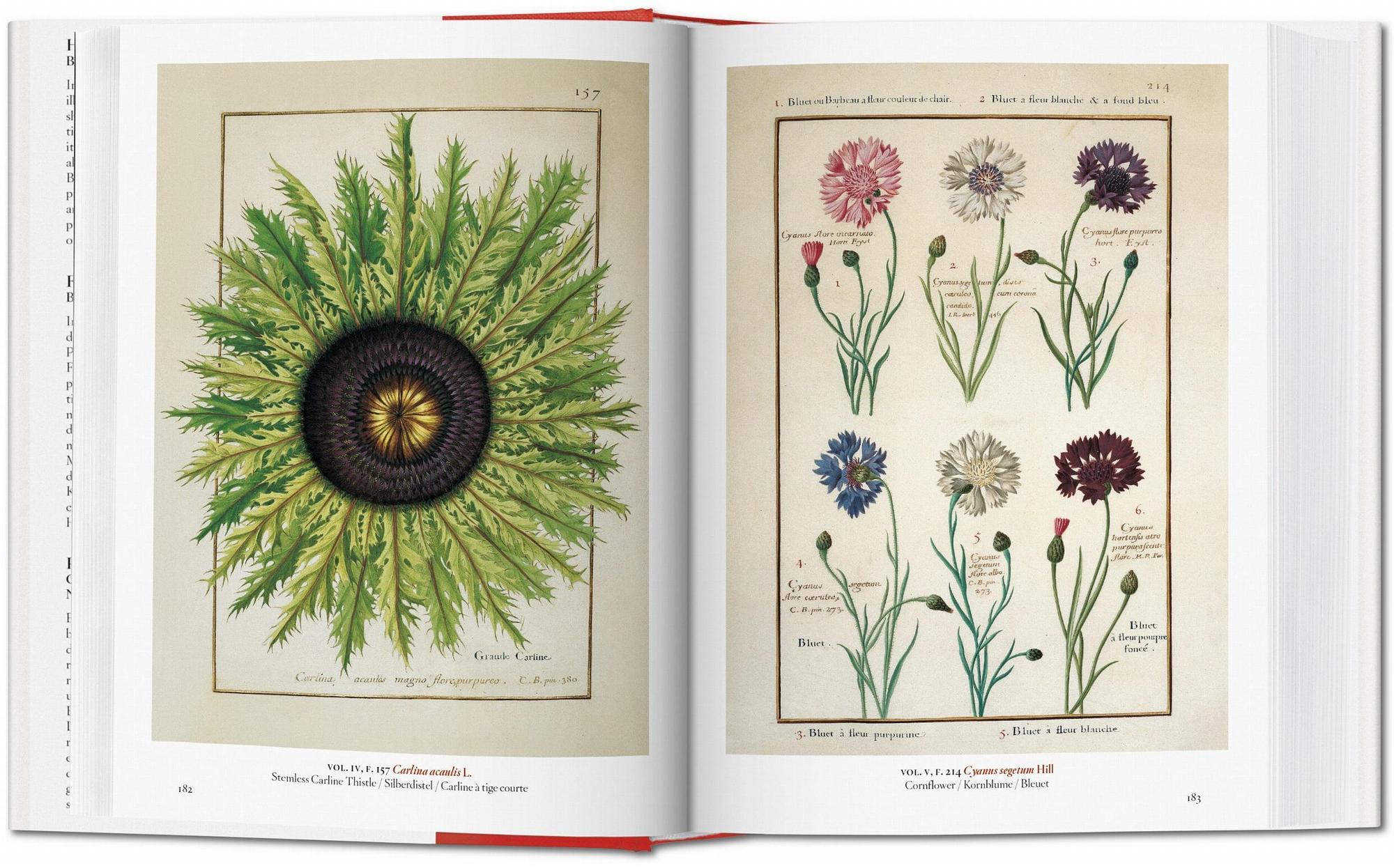 A Garden Eden. Masterpieces of Botanical Illustration. 3
