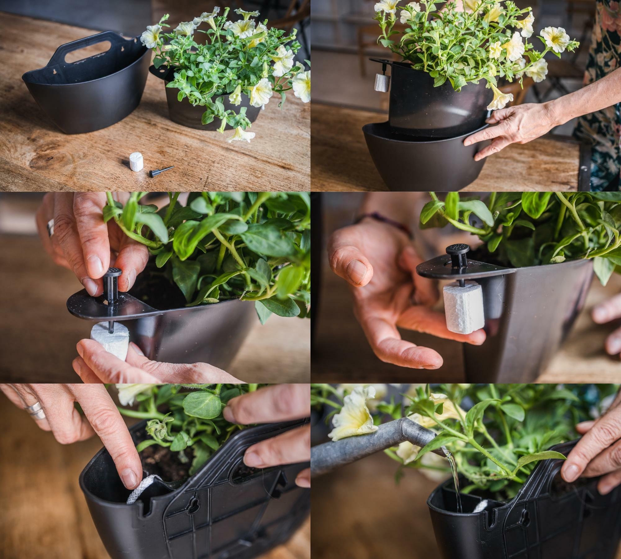 3x Wall Planter with Self-Watering Black 3