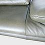 Sofa mit Armlehnen-und Rückenfunktionen Leder Dunkelgrün 7