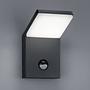 LED-Außenleuchte Pearl I Aluminium Anthrazit 1