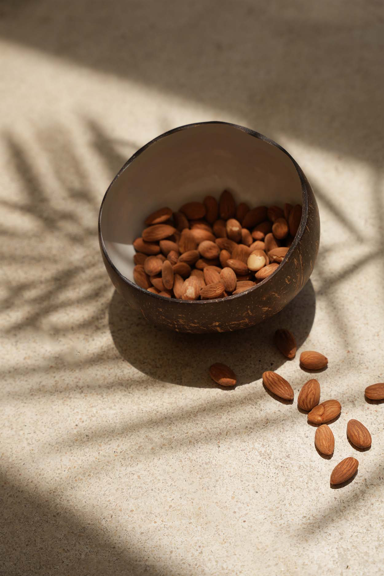 Coco Bowl Brown White 4