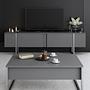 Luxe TV-Schrank Holz Anthrazit Silber 2