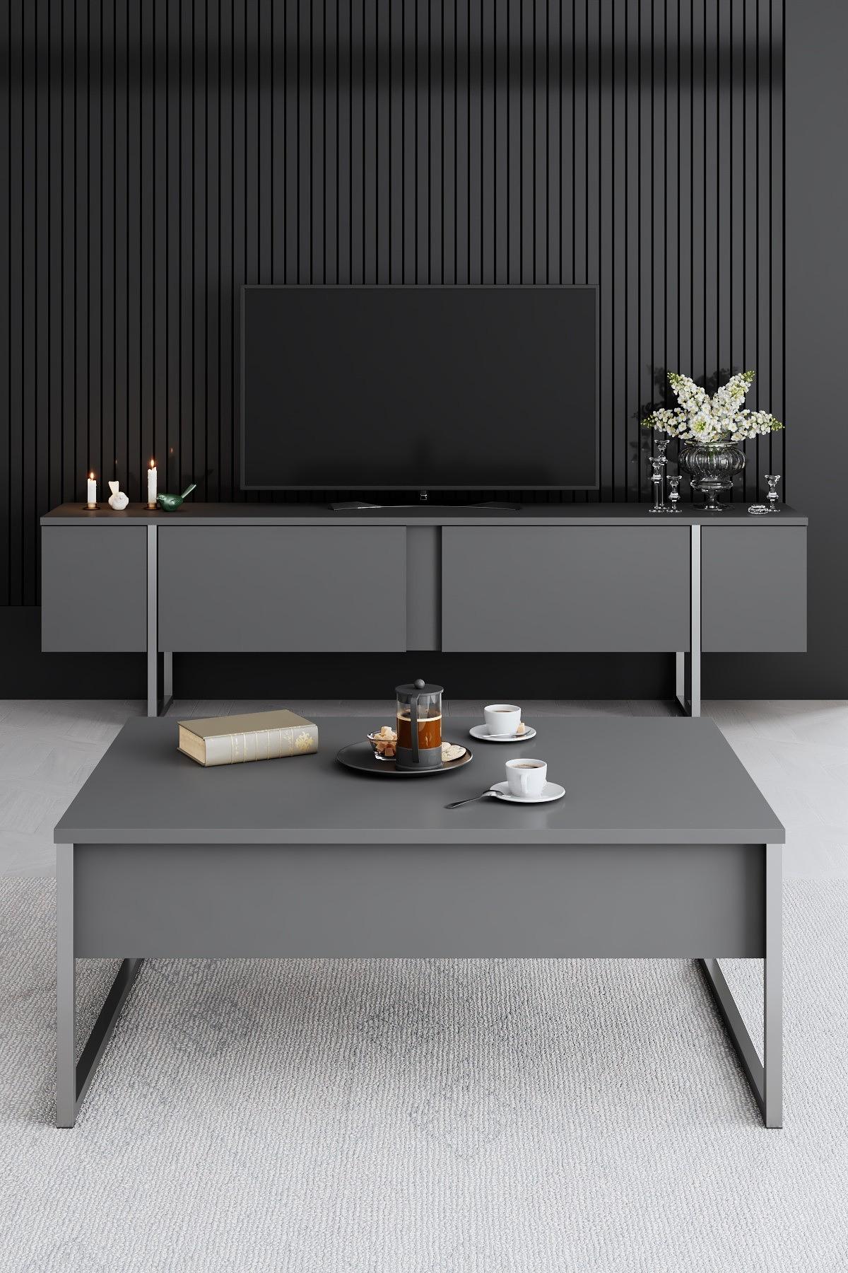 Luxe TV-Schrank Holz Anthrazit Silber 2