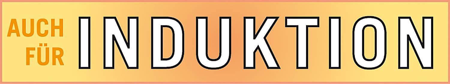 Robusta Frying Pan Cast Iron Stainless Steel Black 2